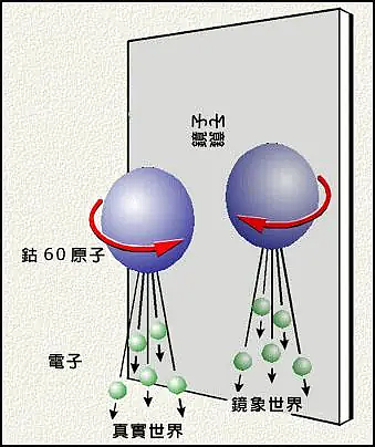 李政道逝世：他的一生 不只有诺贝尔物理学奖（组图） - 7