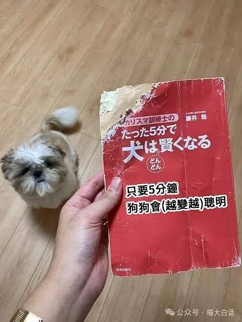 【爆笑】“放假后的大学生有多好骗？”哈哈哈哈就这么水灵灵地干上了（组图） - 56