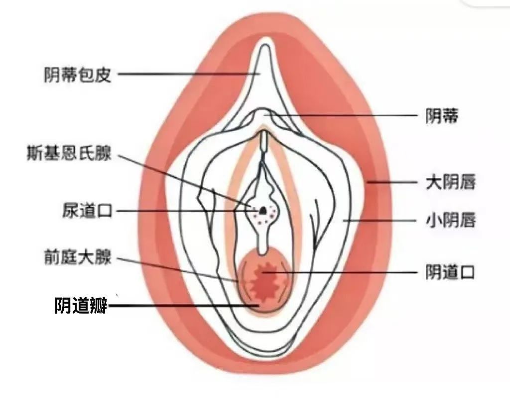 【两性】女孩子的私处到底什么味道才正常？我们采访了TA们……（组图） - 7