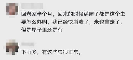 密密麻麻！多人家中涌出，中国姑娘吓坏！这种情况必须扔（组图） - 5