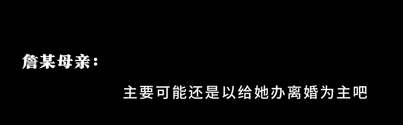 网曝王丽坤丈夫诈骗10亿，男方母亲录音揭内幕，仍有6亿不知去向（组图） - 4