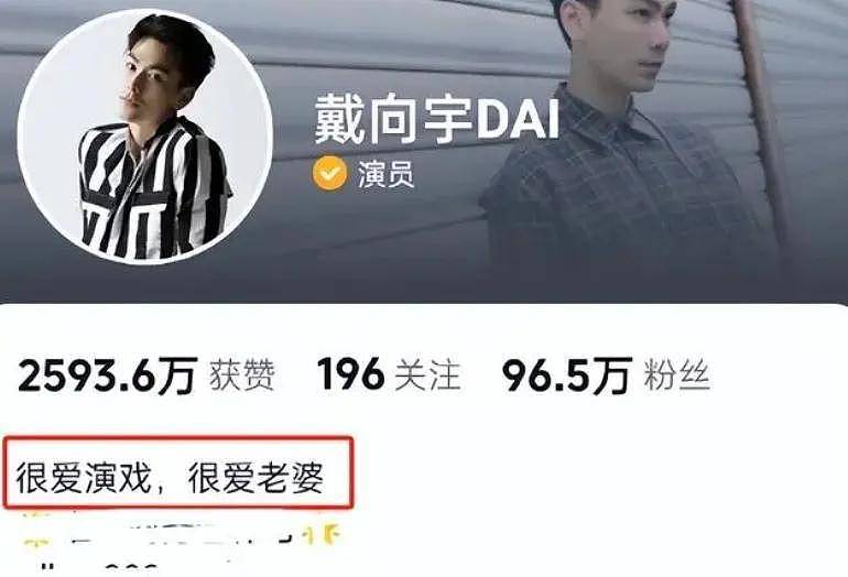 陈紫函老公戴向宇被同行曝嫖娼，男方晒无犯罪记录，陈紫函发长文力挺反被嘲？（组图） - 18