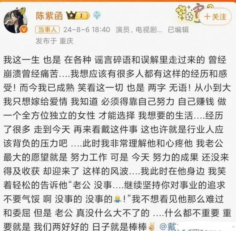 陈紫函老公戴向宇被同行曝嫖娼，男方晒无犯罪记录，陈紫函发长文力挺反被嘲？（组图） - 13