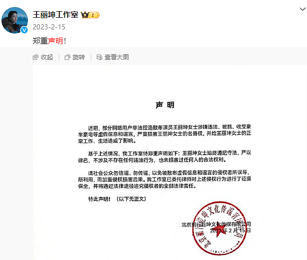 网曝王丽坤丈夫诈骗10亿，男方母亲录音揭内幕，仍有6亿不知去向（组图） - 9