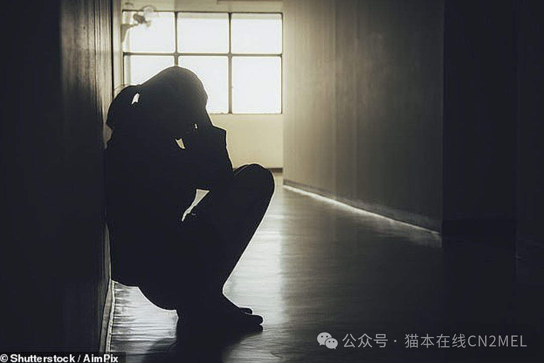 澳洲突发“素媛案”！女童离奇失踪，被发现时赤身裸体！遭48岁男子下药并强奸（组图） - 2