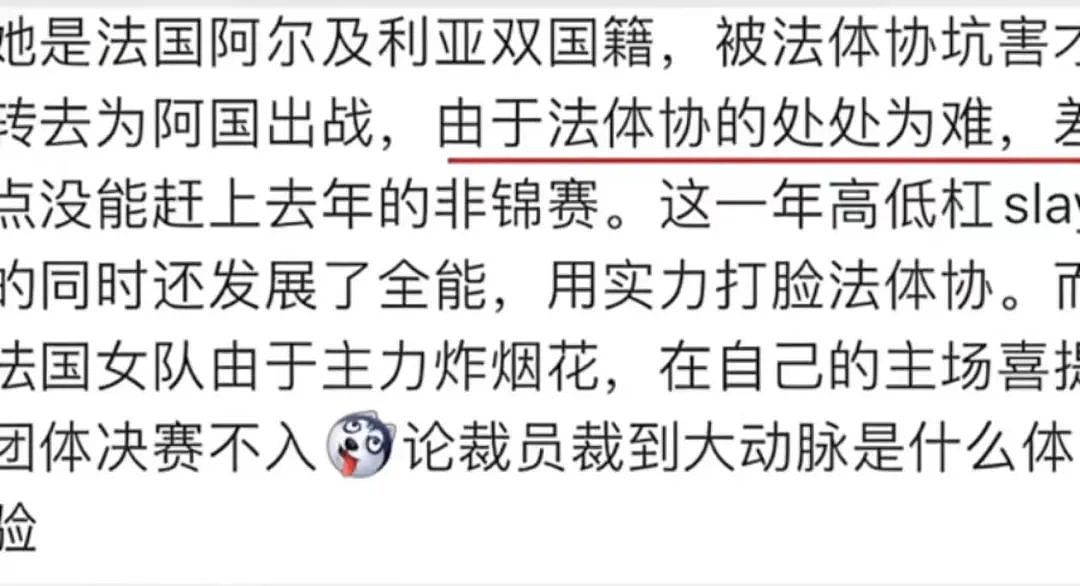 体操界的熹妃回宫！曾在法国遭排挤无法参赛，如今带阿尔及利亚在法国主场赢下金牌（组图） - 4