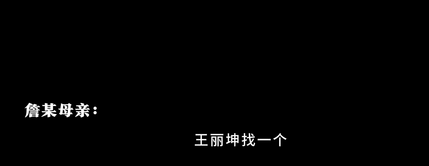 网曝王丽坤丈夫诈骗10亿，男方母亲录音揭内幕，仍有6亿不知去向（组图） - 3