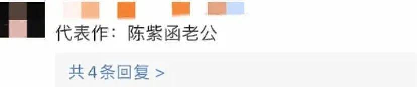 陈紫函老公戴向宇被同行曝嫖娼，男方晒无犯罪记录，陈紫函发长文力挺反被嘲？（组图） - 6