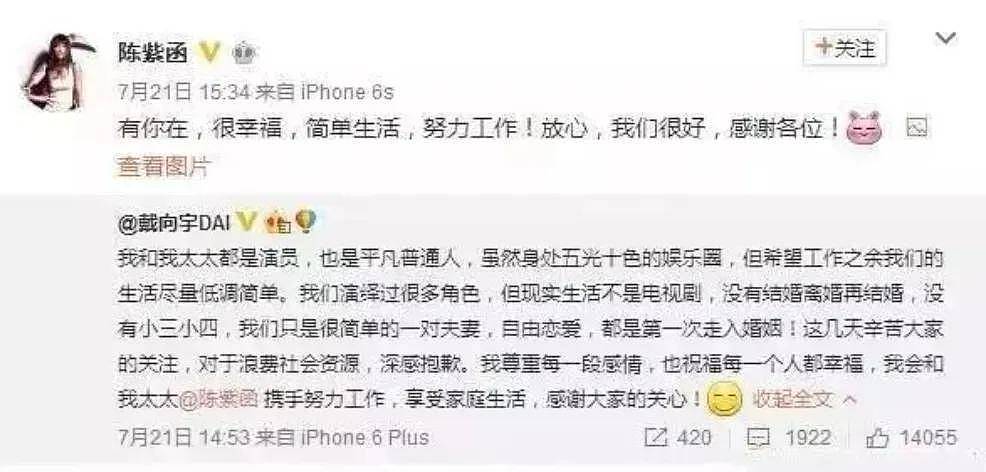 陈紫函老公戴向宇被同行曝嫖娼，男方晒无犯罪记录，陈紫函发长文力挺反被嘲？（组图） - 31