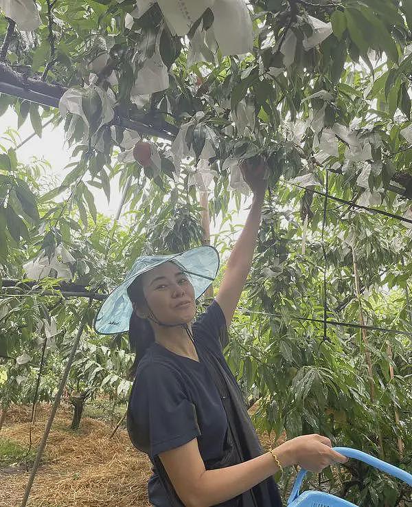 蒙嘉慧隐居日本，郑伊健严肃喊话偷拍的网友，曝两人丁克生活日常（组图） - 7