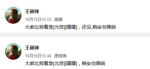 网曝王丽坤丈夫诈骗10亿，男方母亲录音揭内幕，仍有6亿不知去向（组图） - 8