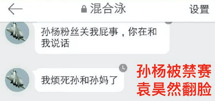 袁某某被体育总局正式调查！内涵潘展乐嗑药，陷害孙杨逼走宁泽涛骂刘翔是鸟人（组图） - 23