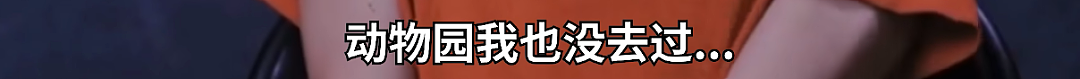 史上最大冤案：全红婵被骂扶弟魔，郑钦文被酸县城公主...（组图） - 41