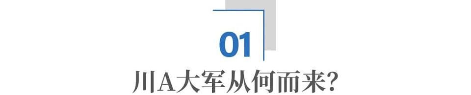 大量成都车现身巴黎街头：川A大军，是怎样炼成的？（组图） - 2