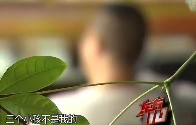 上海富商养情妇7年，生仨娃花2000万，结果发现孩子都是别人的（组图） - 2