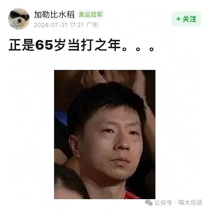 【爆笑】“不顾爸妈反对把猫带回家后……”哈哈哈哈哈这反转服了（组图） - 61