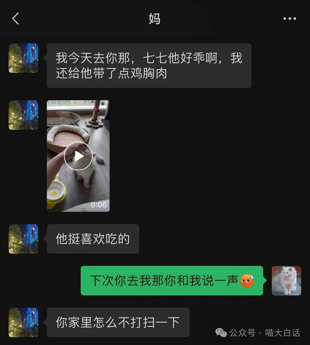 【爆笑】“不顾爸妈反对把猫带回家后……”哈哈哈哈哈这反转服了（组图） - 6