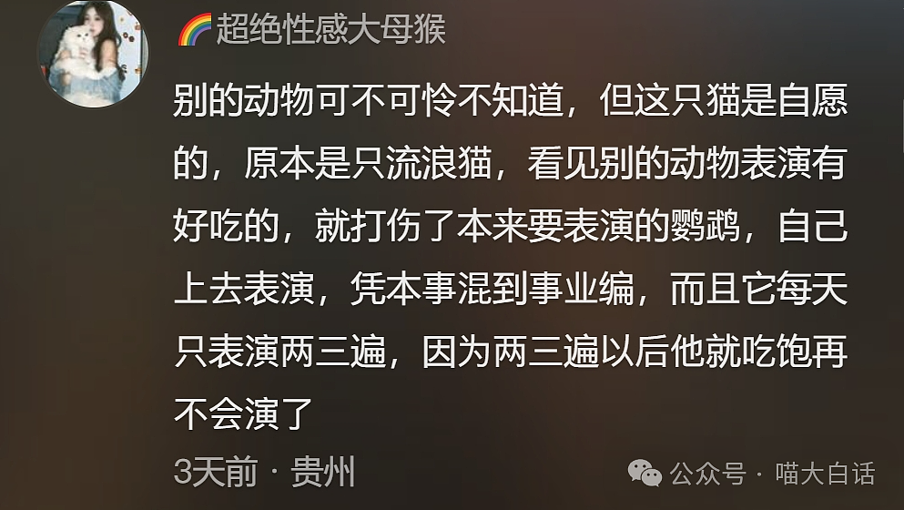 【爆笑】“千万不要让网友给你P图！”哈哈哈哈哈被评论区笑裂开了（组图） - 42