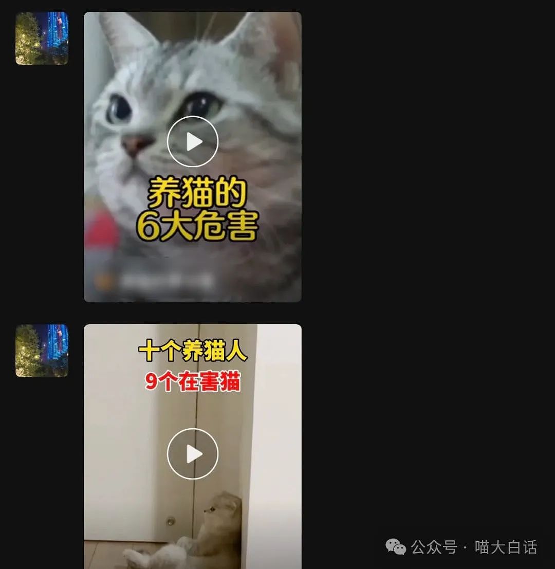 【爆笑】“不顾爸妈反对把猫带回家后……”哈哈哈哈哈这反转服了（组图） - 5