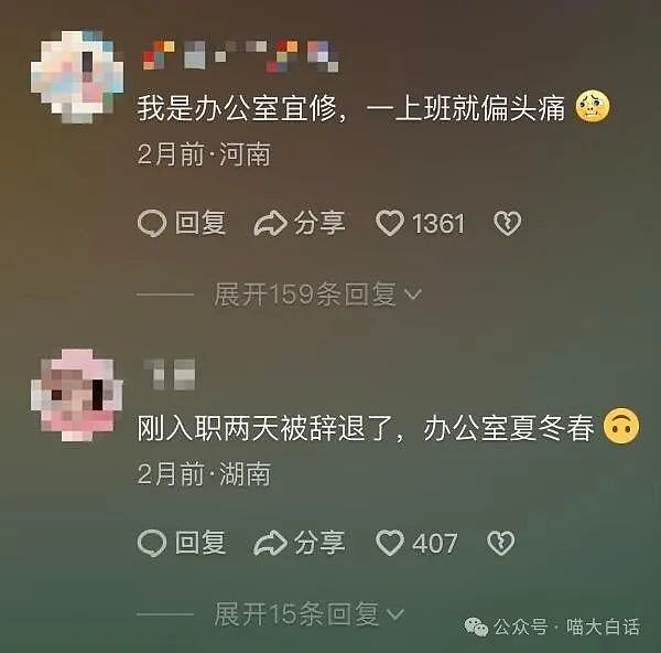 【爆笑】“不顾爸妈反对把猫带回家后……”哈哈哈哈哈这反转服了（组图） - 79