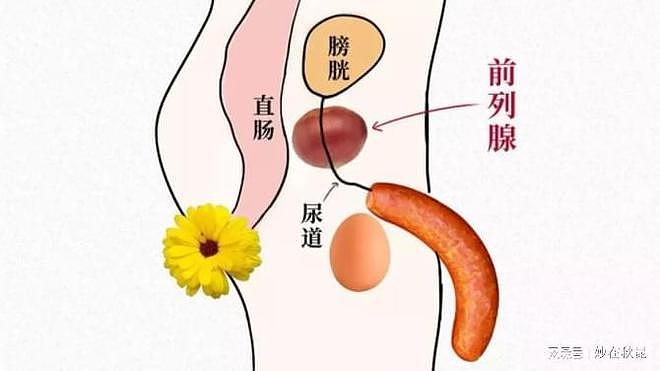 【两性】你是吗？98%的男人都不知道的快乐点…（组图） - 2