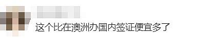 澳洲华人妈妈亲测有效！免签回国15天不够？跟着这个教程走，最长可延半年（组图） - 20