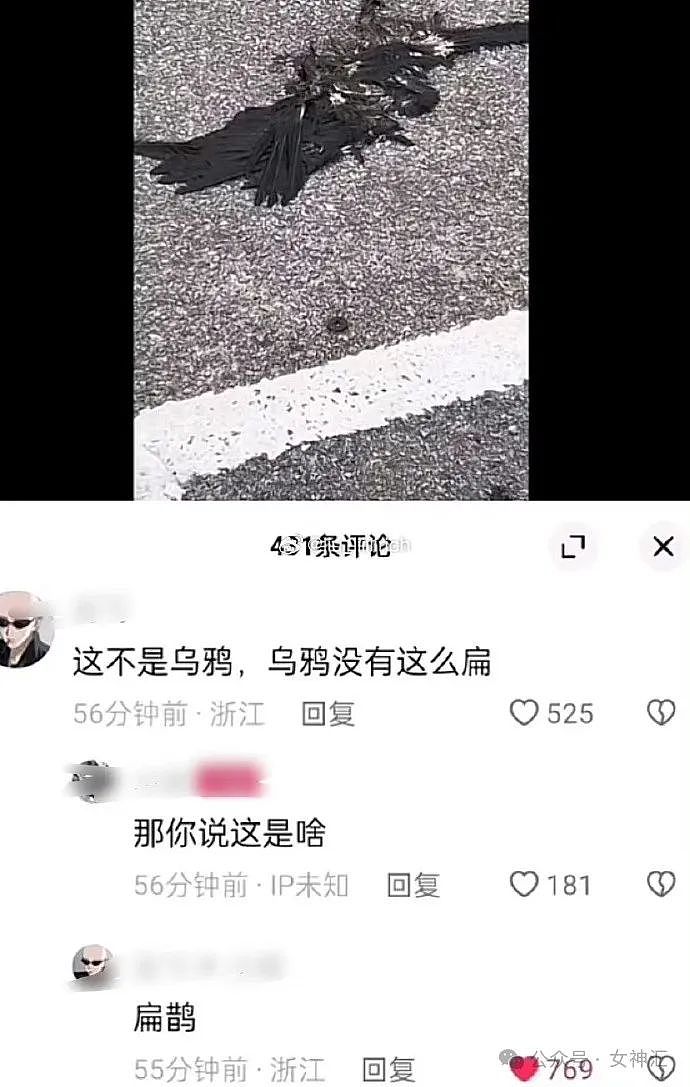 【爆笑】“闺蜜找了40个男明星陪我过生日？结果..？网友傻眼：半个娱乐圈都被请来了（组图） - 20