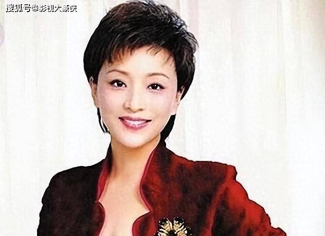 杨澜：为200斤百亿富豪与丈夫离婚，赴美多年如今现状如何（组图） - 13