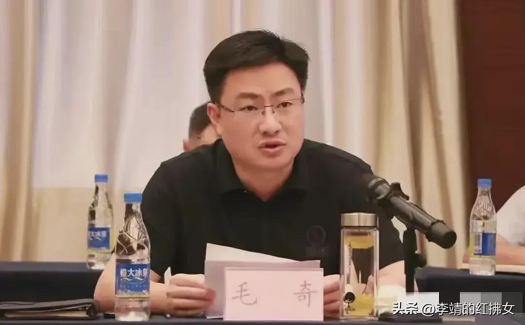 毛奇不止性侵这么简单，他一块手表八万多，李佩霞携带手机是亮点（组图） - 10