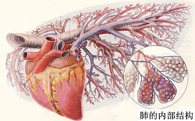 晚期！男子确诊癌症！每天锻炼，不抽烟...医生叹息：身体给过提示了...（组图） - 4