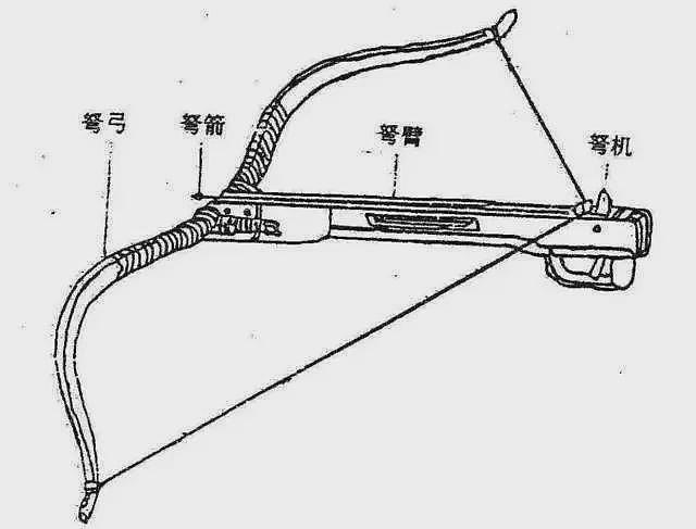 山东弓箭射人案，专业人士：作案工具应是狩猎复合弓，杀伤力强（组图） - 5