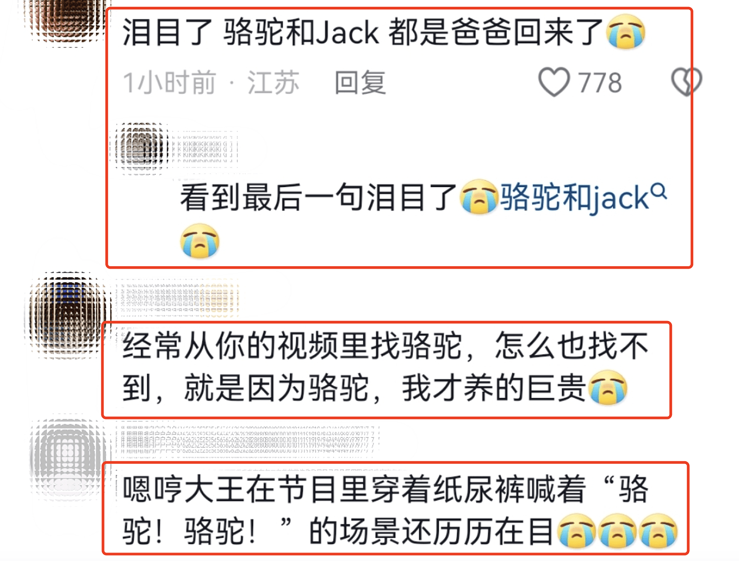 霍思燕晒9条宠物狗，透露骆驼和Jack已去世，网友纷纷泪目（组图） - 15