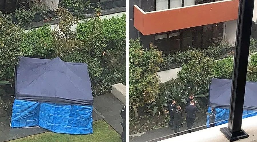 悉尼华人区发生凶杀案，1男1女横尸公寓楼，警方公布：死者均为亚裔（组图） - 2