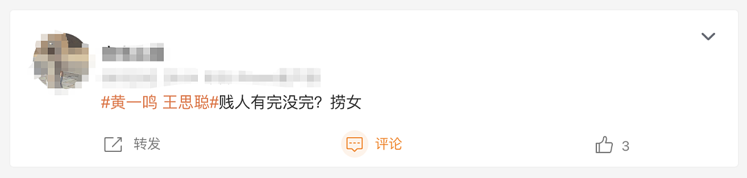 黄一鸣回应王思聪认娃：对，每年300万，一套房，自己解散了团队（组图） - 15