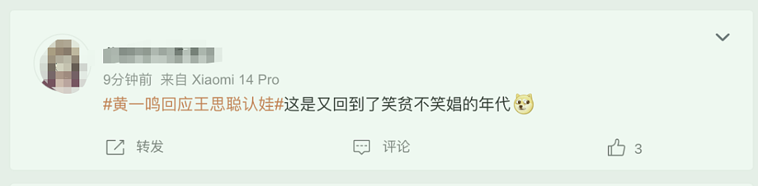 黄一鸣回应王思聪认娃：对，每年300万，一套房，自己解散了团队（组图） - 18