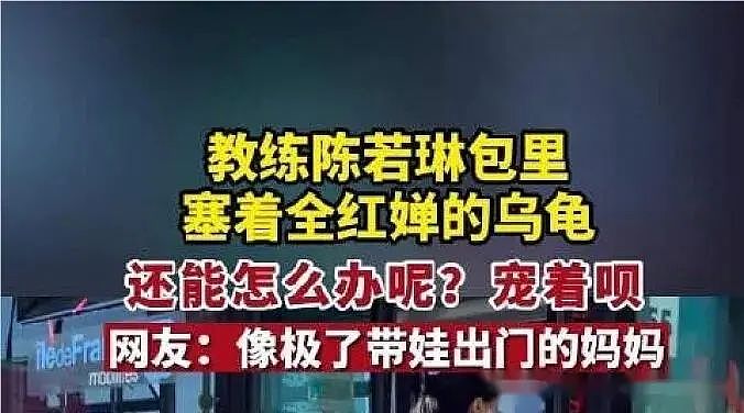 拒绝霍启山的跳水皇后：3岁被父母抛弃、获22个冠军后被生母求相认，她一句话出人意料…（组图） - 6