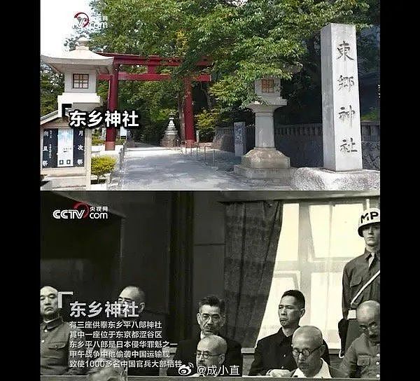 张本智和翻车！和石川佳纯笑容满面参拜战犯神社，网友愤怒谴责（组图） - 2