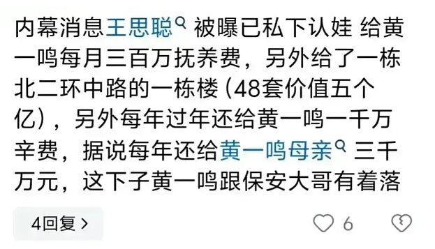 黄一鸣似默认王思聪五个亿认娃？给豪门未婚生子，女星们是精明还是傻（组图） - 11