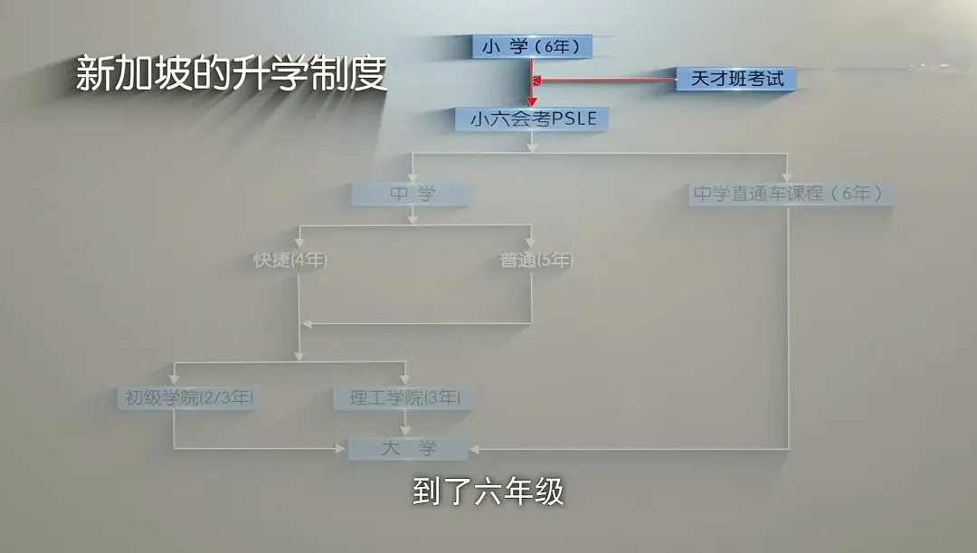 消失多年后，孙燕姿扎心近况曝光：鸡娃小升初，天后也扛不住……（组图） - 7