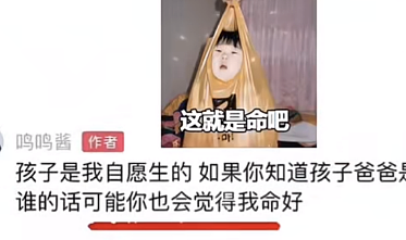 黄一鸣似默认王思聪五个亿认娃？给豪门未婚生子，女星们是精明还是傻（组图） - 6