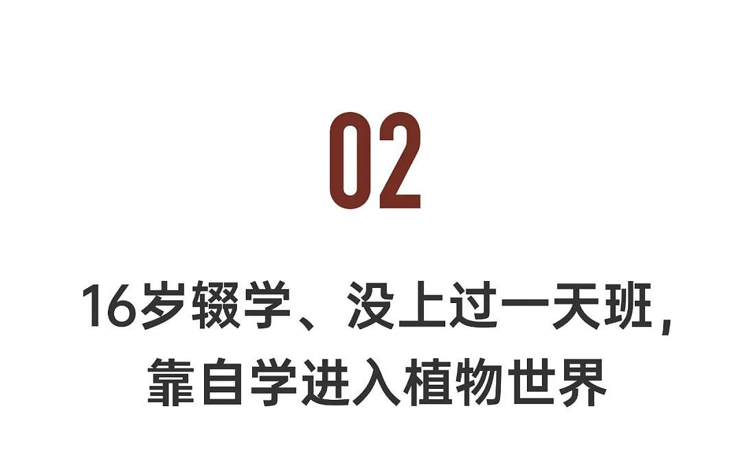 四川小伙在震后荒废宅基地，建起6000m²花园，生猛、绮丽（组图） - 17