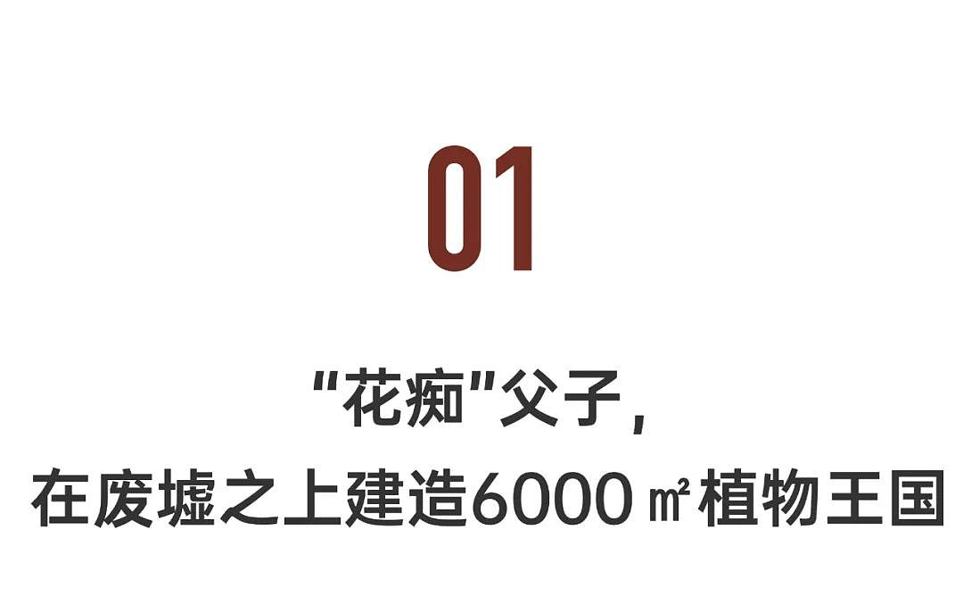 四川小伙在震后荒废宅基地，建起6000m²花园，生猛、绮丽（组图） - 6