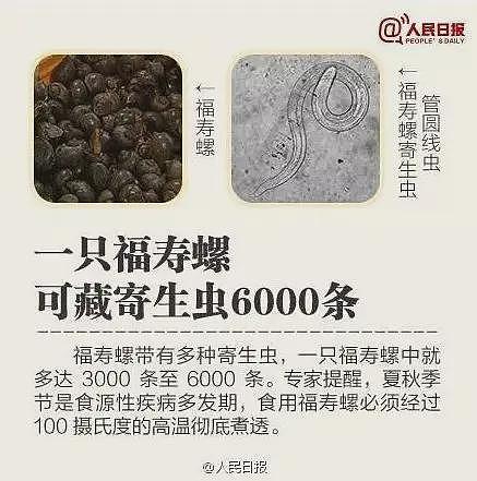 又出现！紧急提醒：寄生虫多达6000条，千万别乱吃、乱碰，严重可致死（组图） - 2