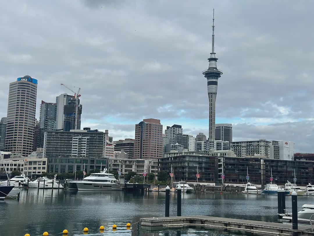 “移民NZ被割韭菜！”华人大吐槽：被裁员，投100份简历，仍找不到工作（组图） - 12