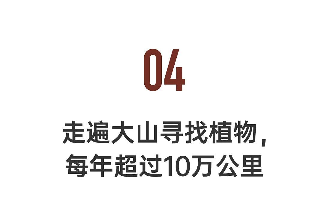 四川小伙在震后荒废宅基地，建起6000m²花园，生猛、绮丽（组图） - 30