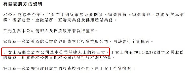 许家印被全球追债？前妻丁玉梅名下私有财产被伦敦法院申请冻结（组图） - 7