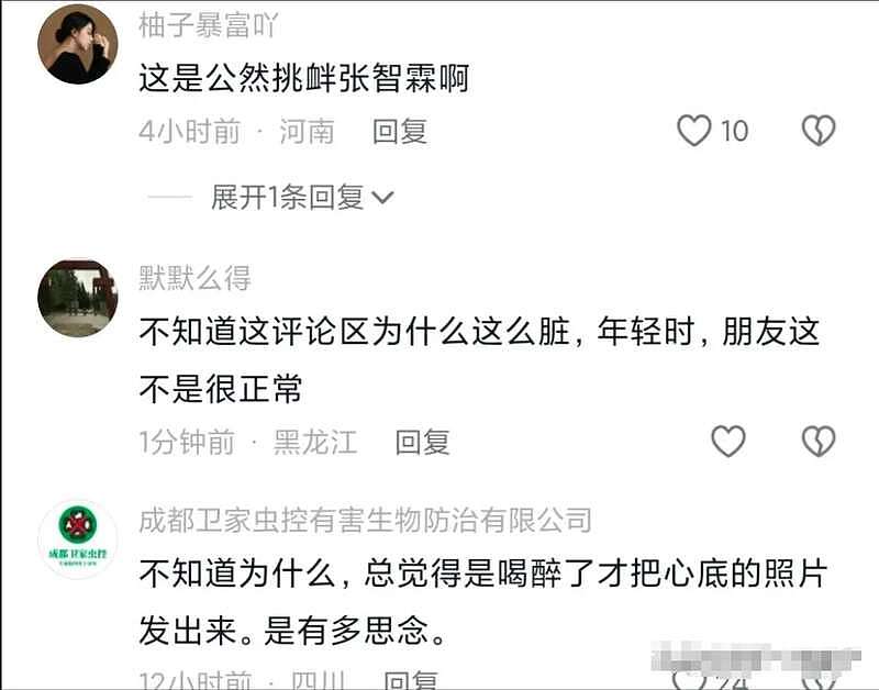 “大B哥”吴志雄晒与袁咏仪亲密合照，评论区沦陷（组图） - 4