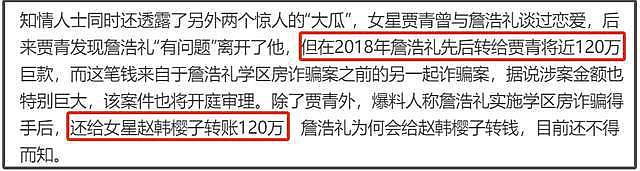 王丽坤老公诈骗案升级！涉及洗钱制片人被抓，剧方该向公众说明（组图） - 19