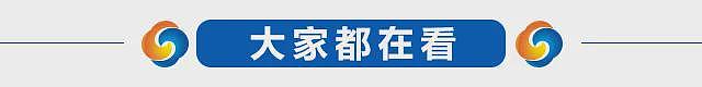 送$2.5万买房首付、新生儿发$6000、建300万新房…贺锦丽推新提案反击川普“经济破坏者”言论（组图） - 6