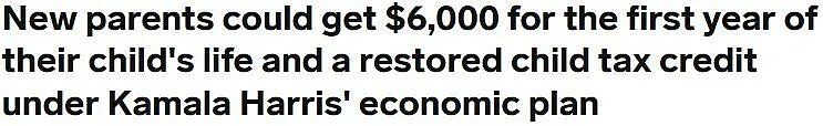 送$2.5万买房首付、新生儿发$6000、建300万新房…贺锦丽推新提案反击川普“经济破坏者”言论（组图） - 3